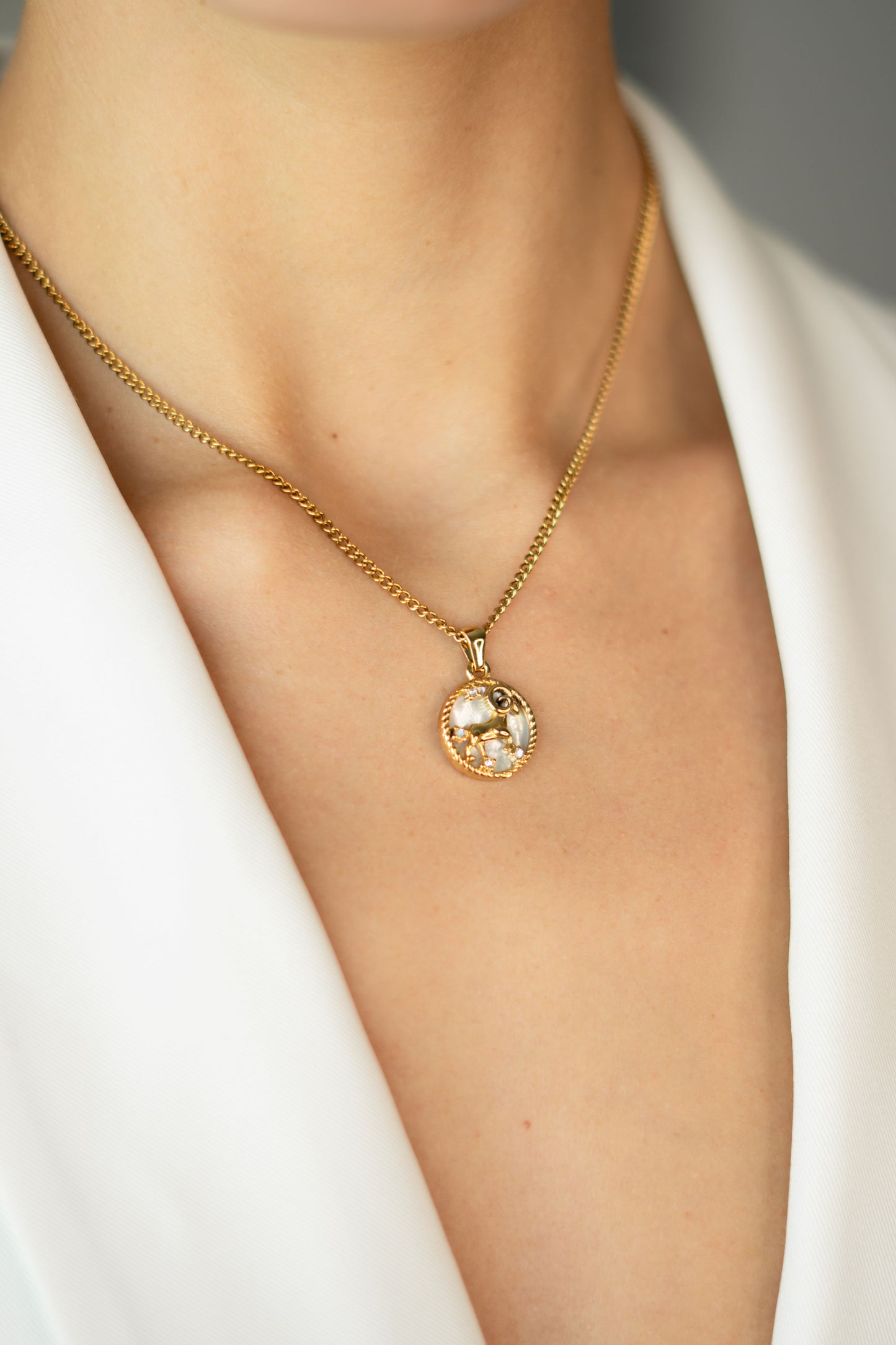 ZODIAC SIGN COLLECTION - Aries