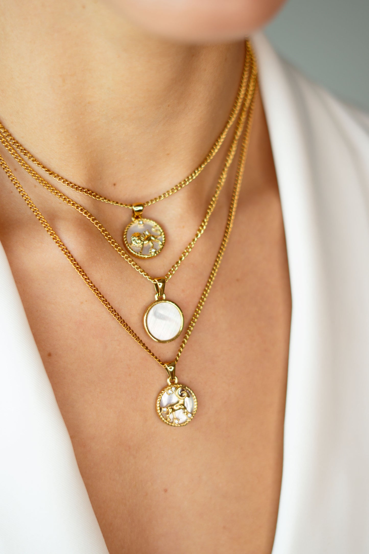 ZODIAC SIGN COLLECTION - Aries