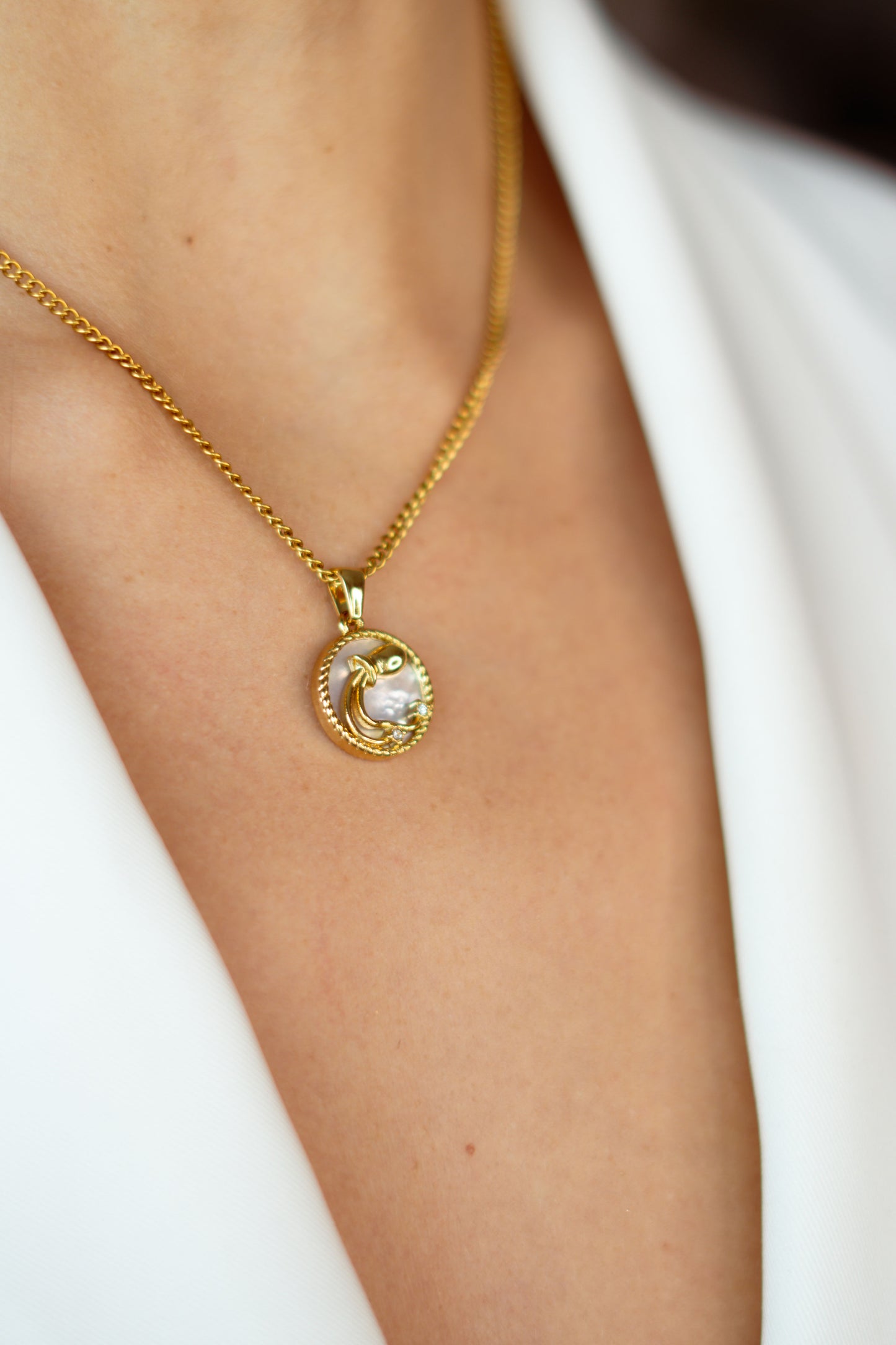 ZODIAC SIGN COLLECTION - Aquarius